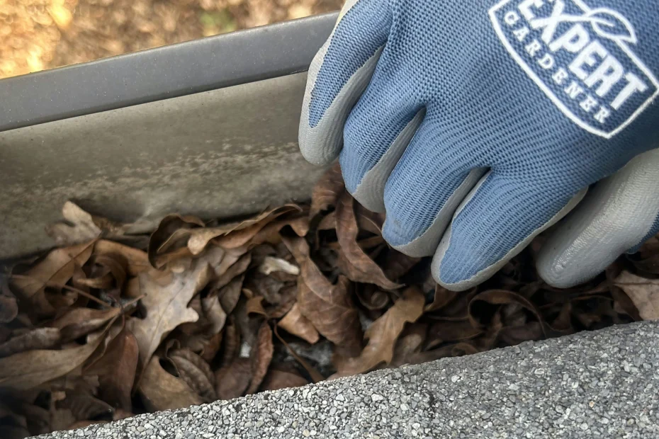 Gutter Cleaning North Olmsted