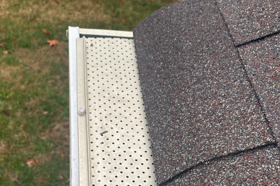 Gutter Cleaning North Olmsted